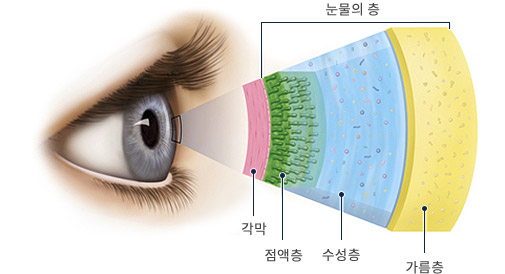 안구건조증의 원인